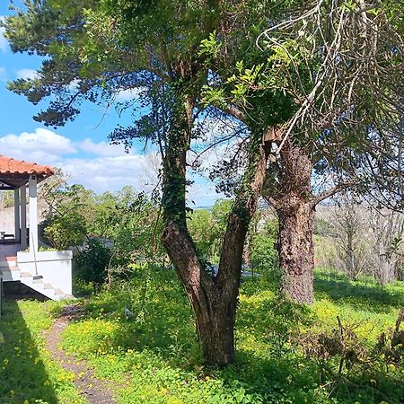 Quintinha A 35Min De Lisboa Villa Mafra Bagian luar foto