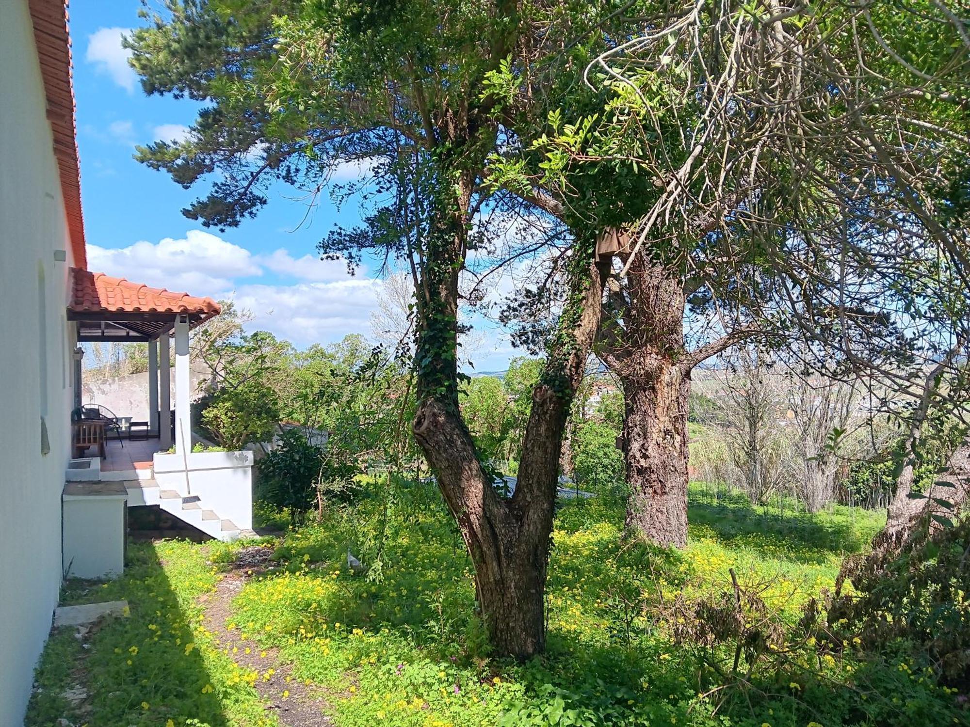 Quintinha A 35Min De Lisboa Villa Mafra Bagian luar foto